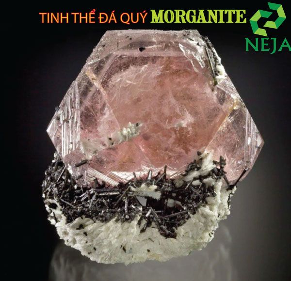 đá morganite là gì